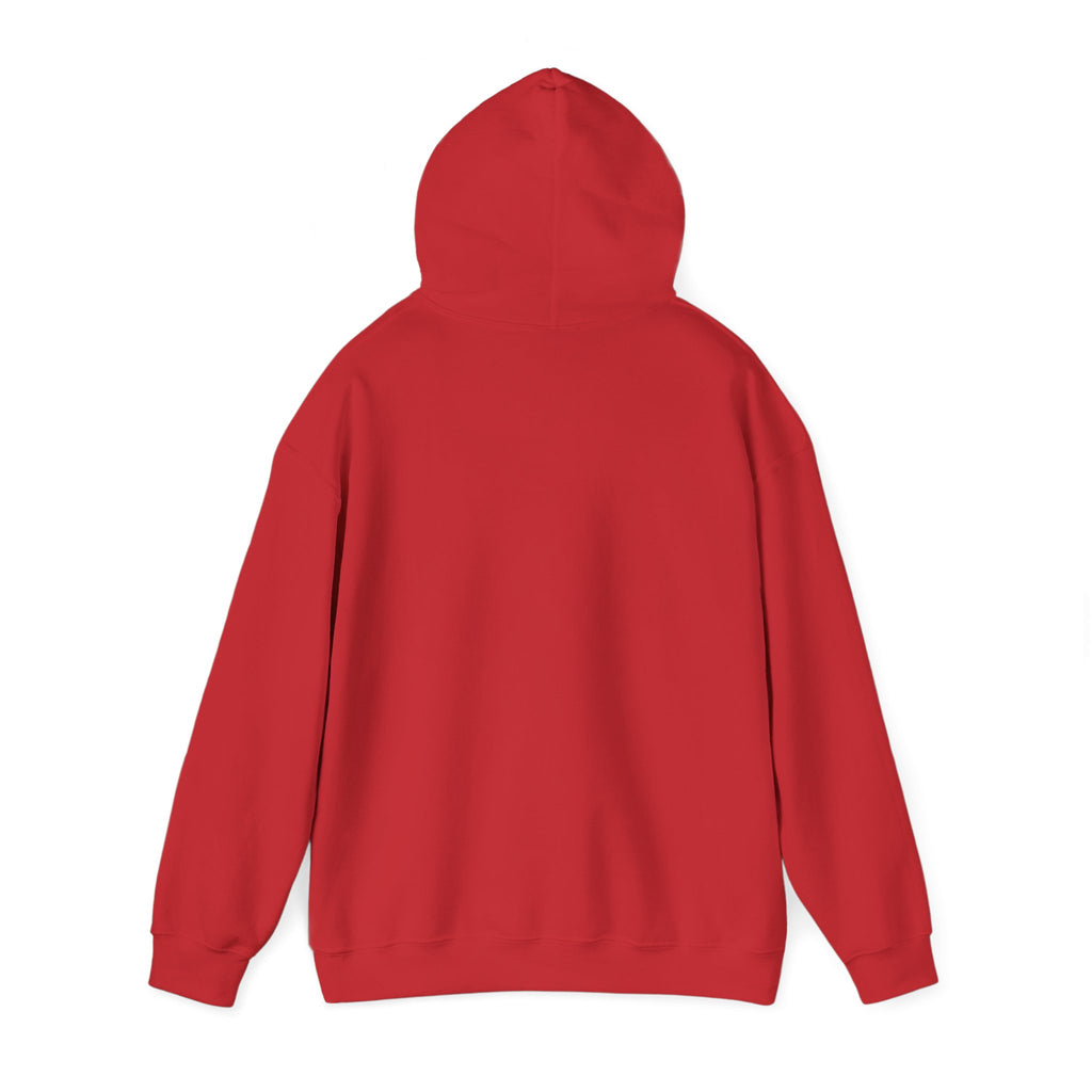 The Comfort Company Classic Pullover Hoodie